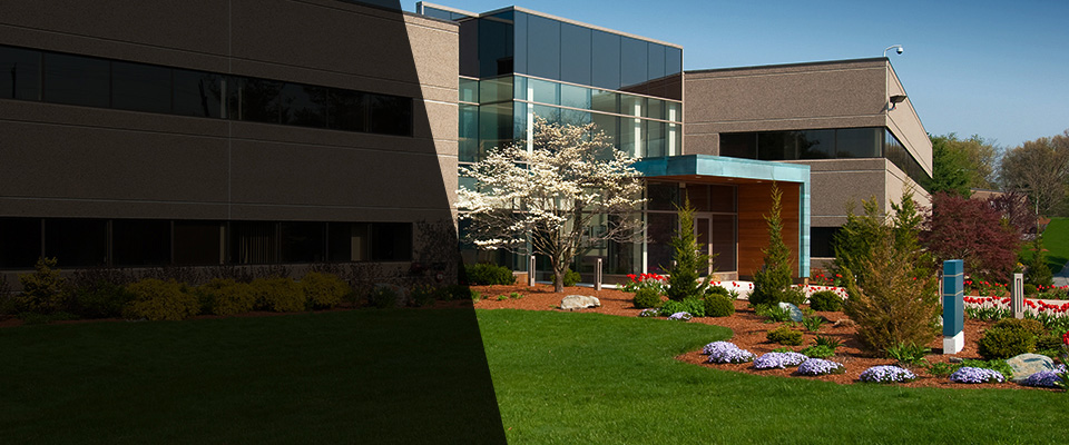 Menlo Park Landscapers