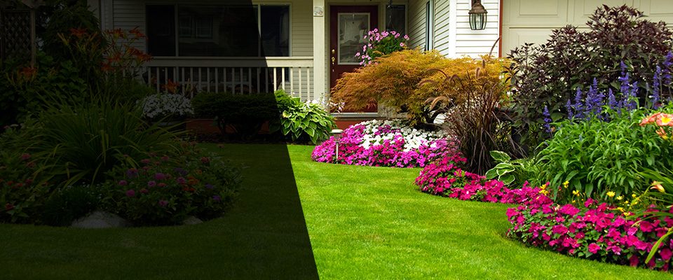 Menlo Park Landscapers