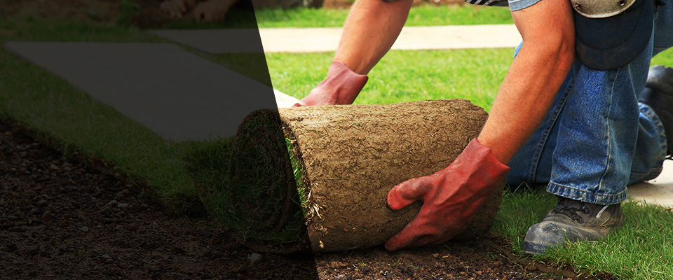 Menlo Park Landscapers
